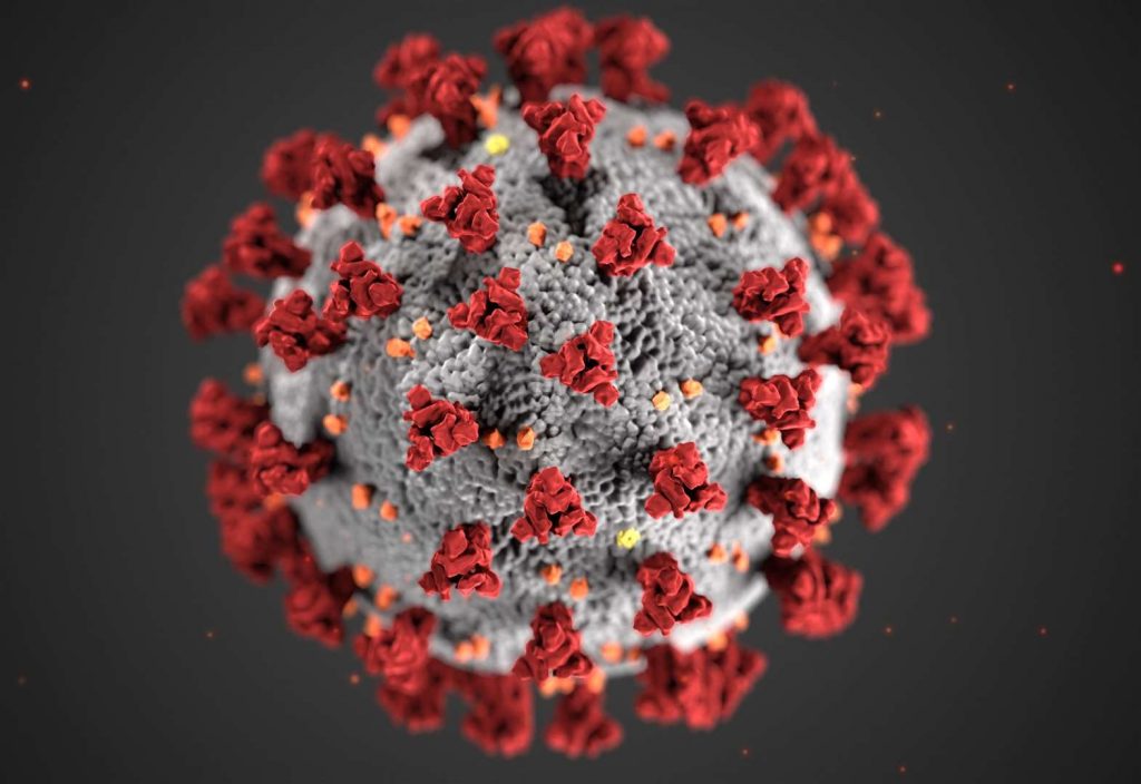 An electron microscope image of a coronavirus